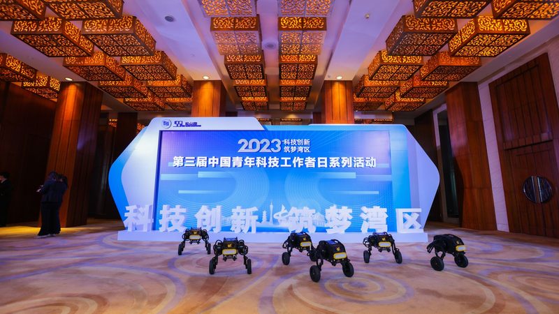 数据服务安装参数设置：关键步骤与注意事项